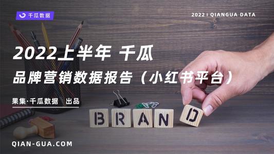 2022上半年品牌营销数据报告(小红书平台)