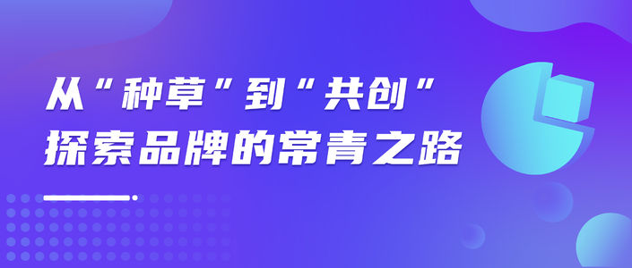 除了种草，品牌还能在小红书做些什么？