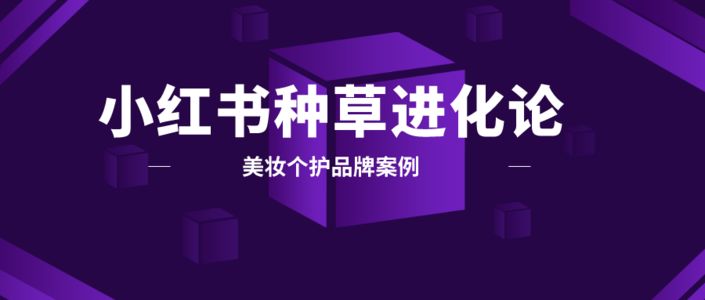 小红书内容营销3.0+KOL矩阵|双11.11品牌案例