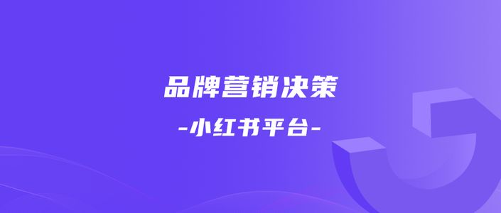 小红书保姆级教程｜双11品牌营销决策怎么做