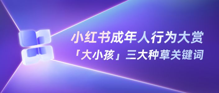 允许发疯，小红书“大小孩”种草图鉴