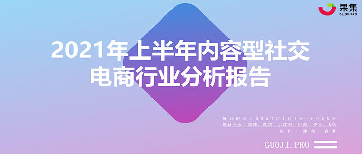 2021年上半年社交电商行业分析报告