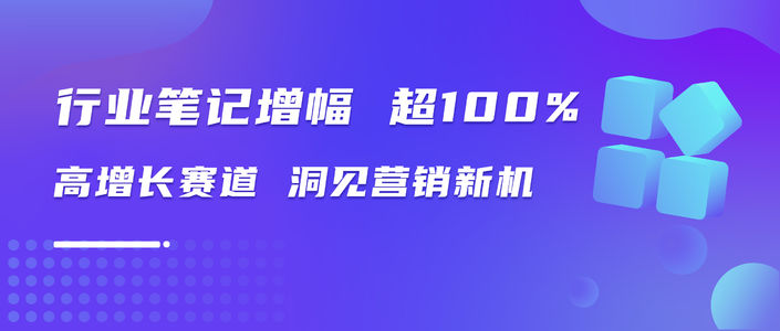 2024小红书高增长赛道洞察报告