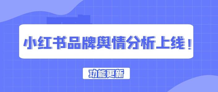小红书品牌舆情分析上线！助力品牌形象管理