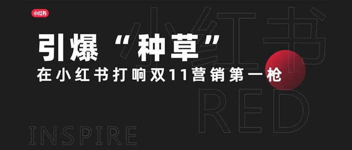 干货 | 双11，在小红书打响营销第一枪